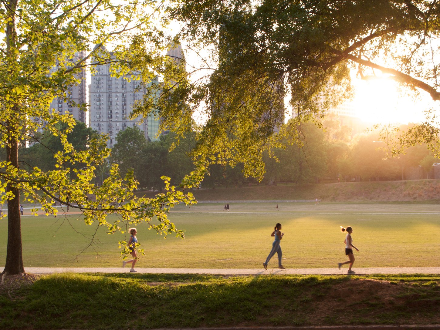 exercise park